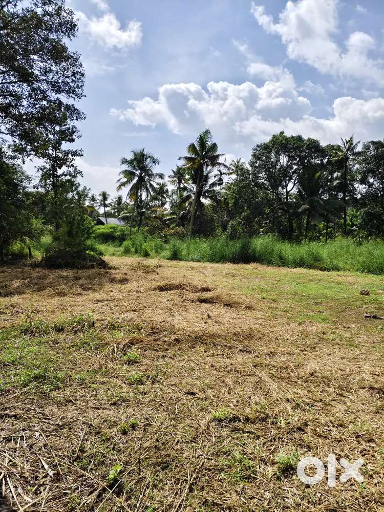30 cent land for 30 lakhs at Aripalam, mathilakam