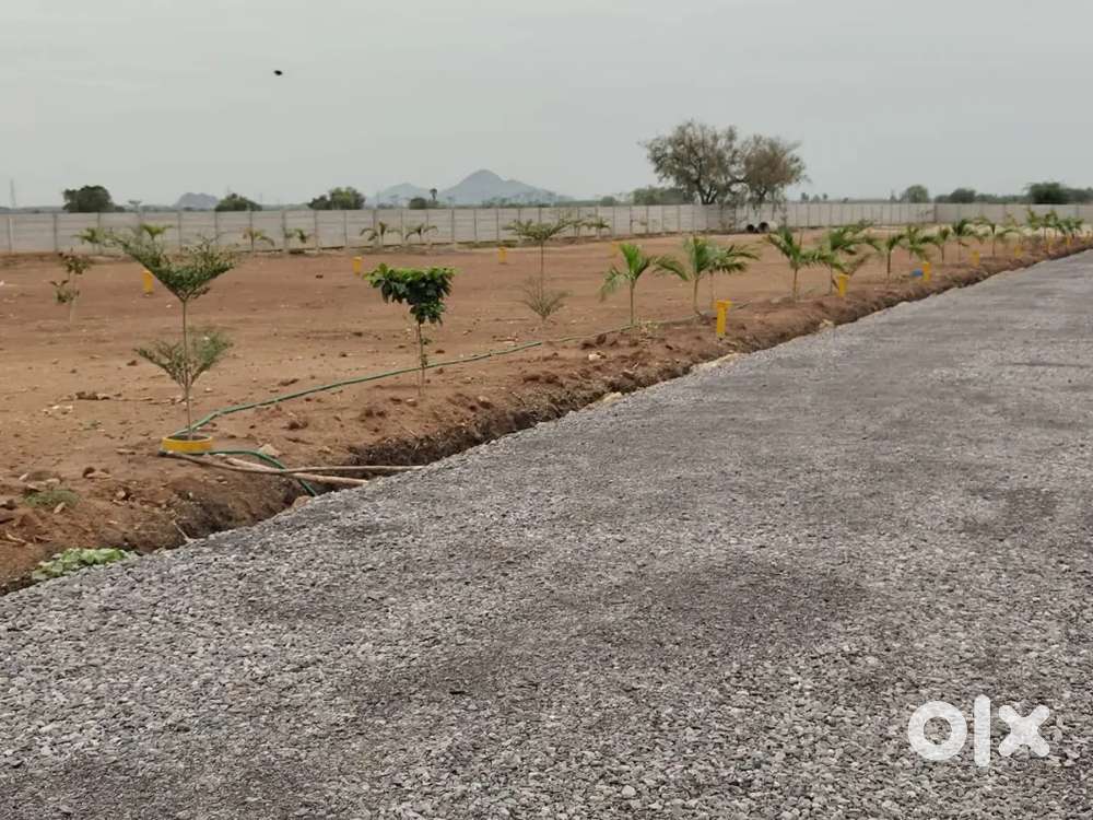 Guntur municipal corporation limits