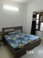 PG rooms available near Law Gate LPU(Lovely Professional University)