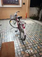 Stryder cycle