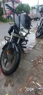 Urgent sale need koney