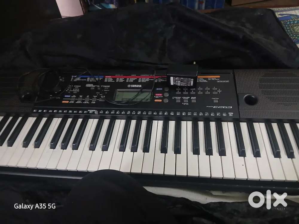 Blueberry piano  e263