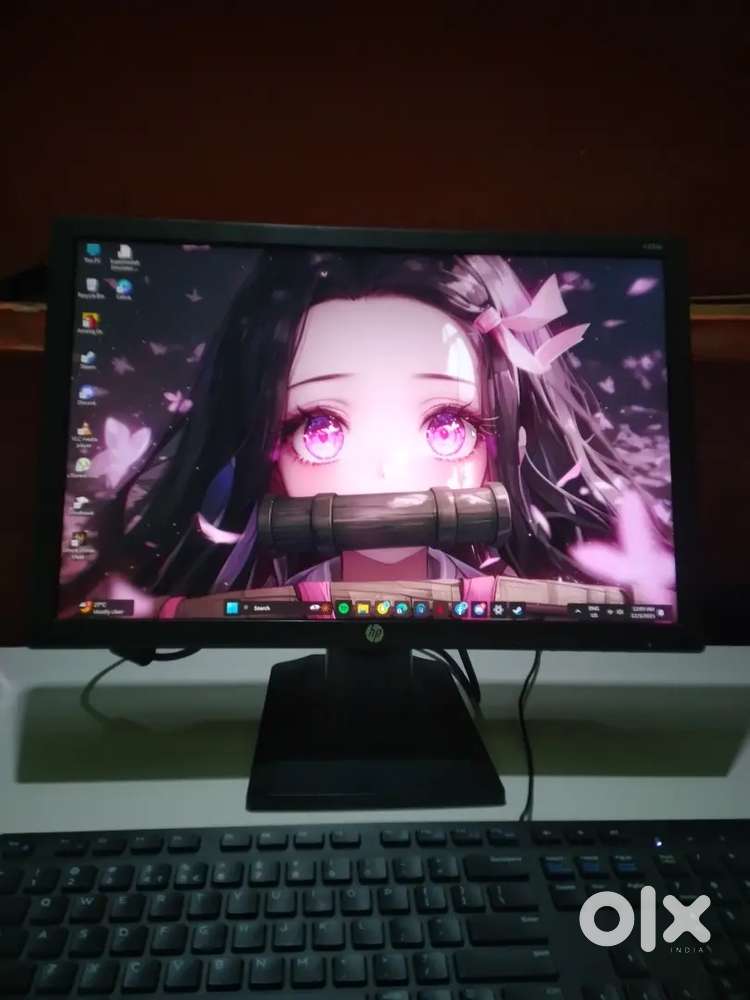 HP Business V203p 19.5 WXGA+  LCD Monitor - 16:10