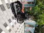 Thunderbird