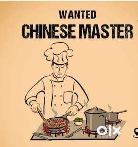 Chinese Master Wanted