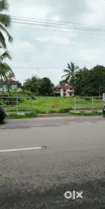 Plot and house  for sale 50 meters from tirur parappanangadi road