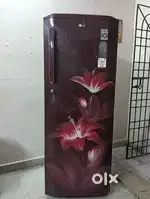 5 star L.G Fridge