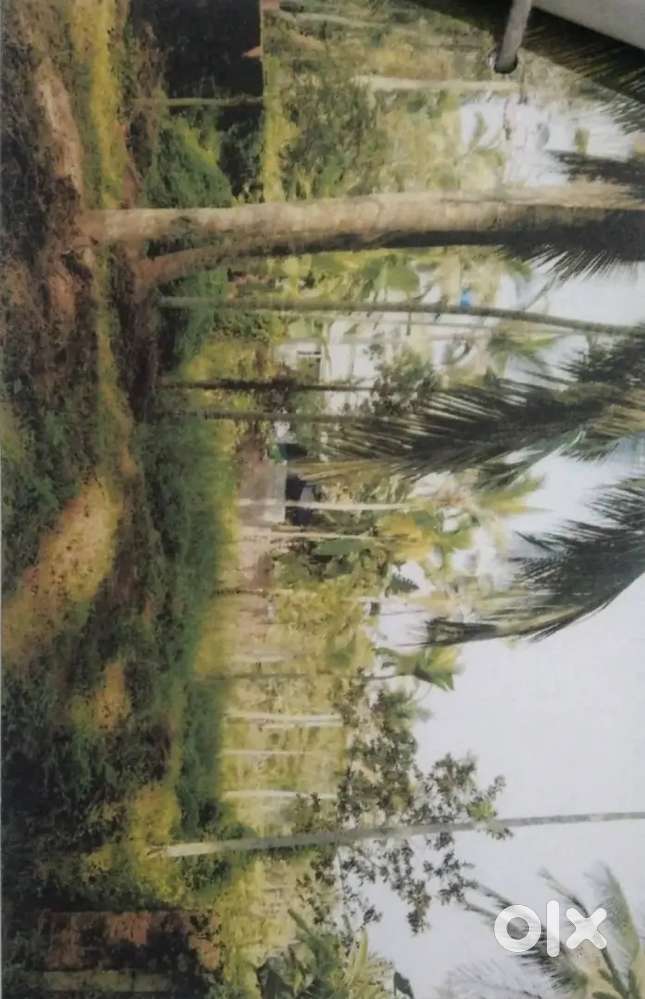 Plot for sale