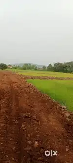 Plot singlex duplex