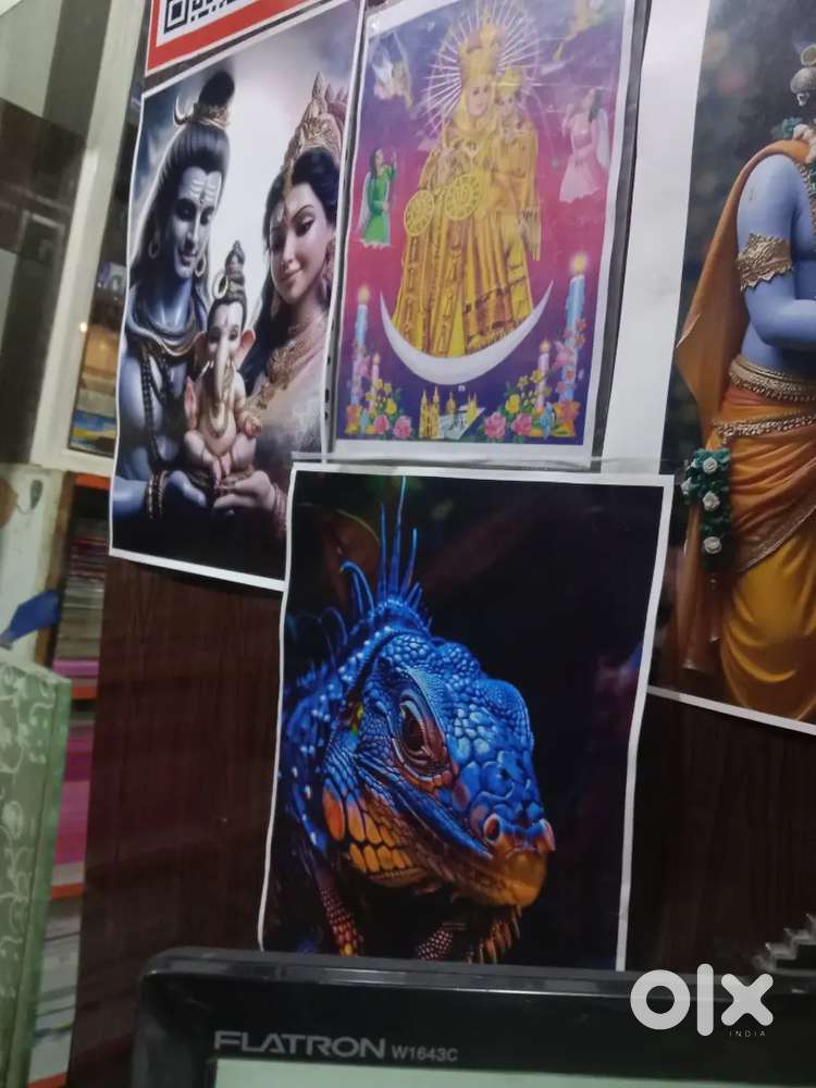 Xerox shop @ echankadu