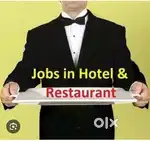 Urgent vacancy in bar, housekeeping, service, cook