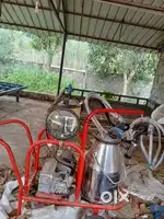 rotary milking parlor