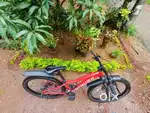 Specialist cycle