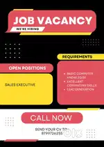 Sales executive