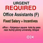 Reqired office assistant
