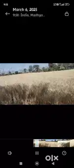Jamin bechna hai Indore me tejaji nagr se 2 km khandwa rod par