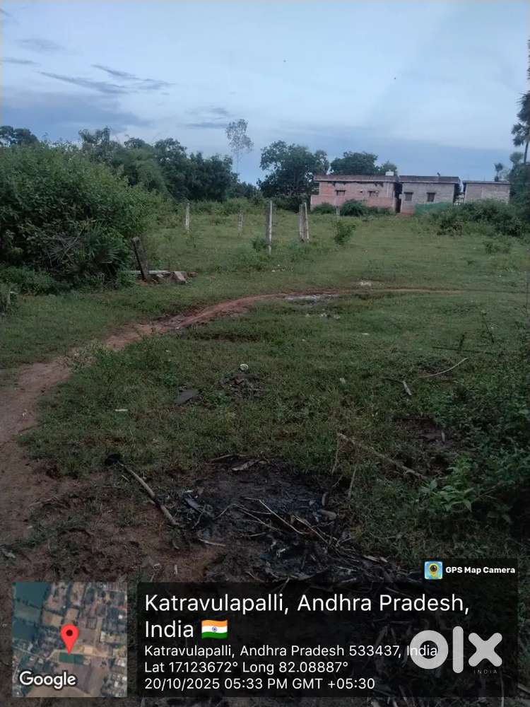 Timmapuram kartvulapalli