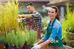 Housekeeping security gardener jobs