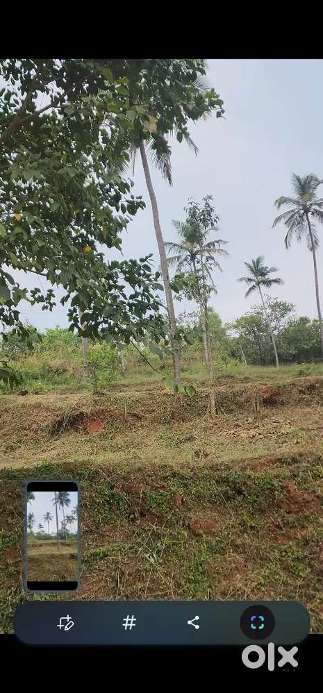 Land near inkel, kocherikkuzhi