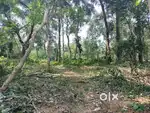 Residential plots of 32 and 37cent+house are for sale