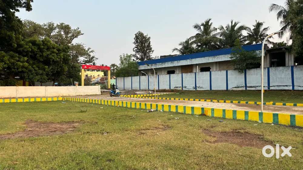 Hot Deal! Potheri Plot Near SRM University – 500 meters Walkable