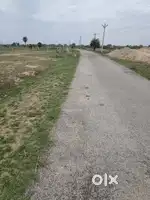 On road plots