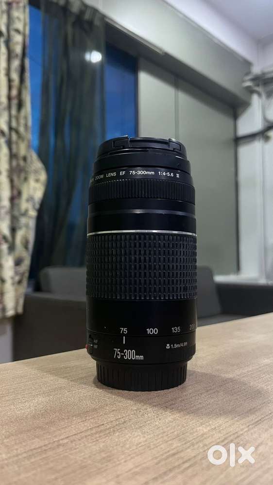 Canon EF 75–300mm f/4–5.6 Zoom Lens