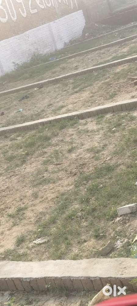 Need many kandhla district shamli