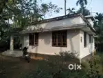 25 cent plot for sale in Aluva near Carmal Hospital. 6.5 lak per cent.
