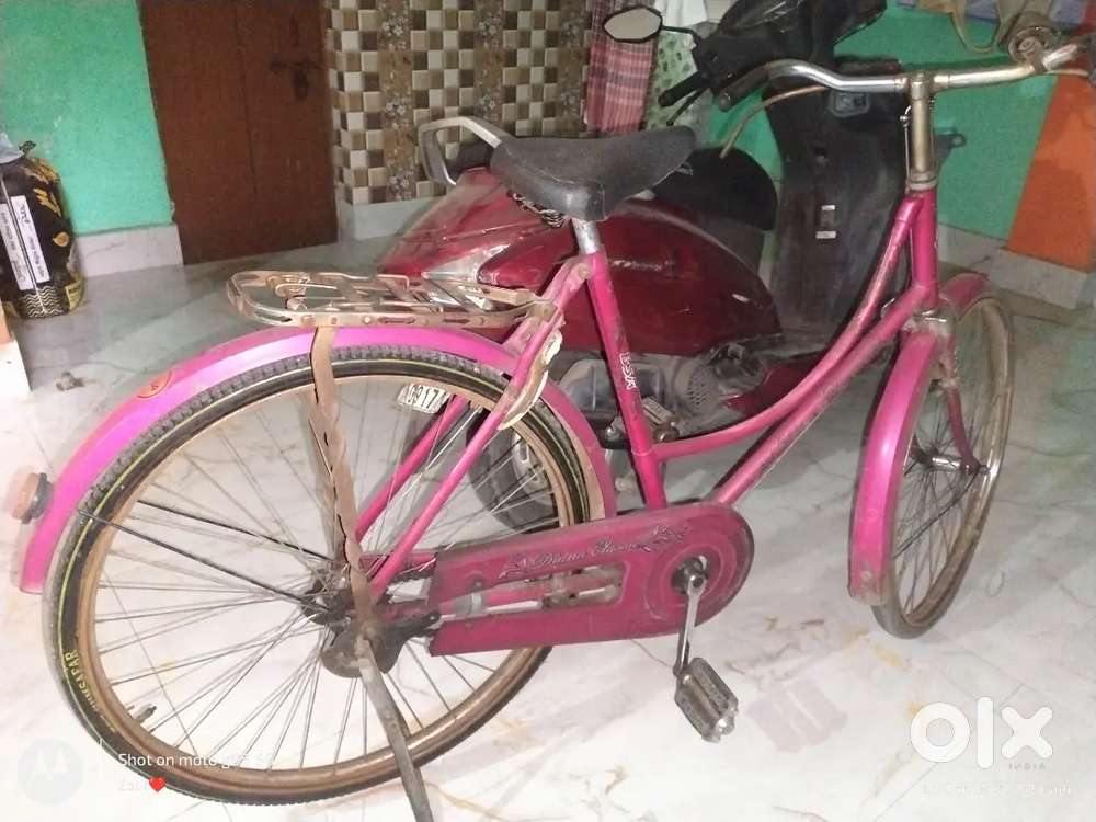 Lady Bird Cycle