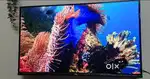TCL QLED TV 3 month old like new