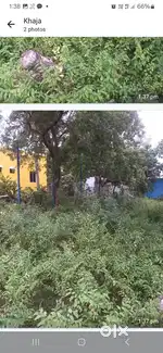 Bavani nagar,Balamal street, Backside Annai Tarasa park,Ayapakkam