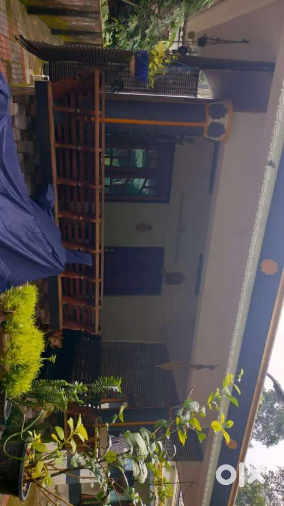 House for rent