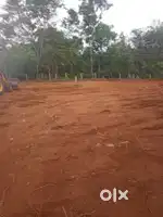 Dream Property