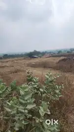 47 gunthe land for sale at Dindori