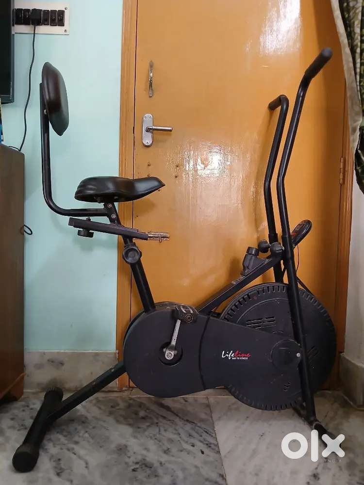 Lifeline Air Bike Exercise Cycle with Back Support