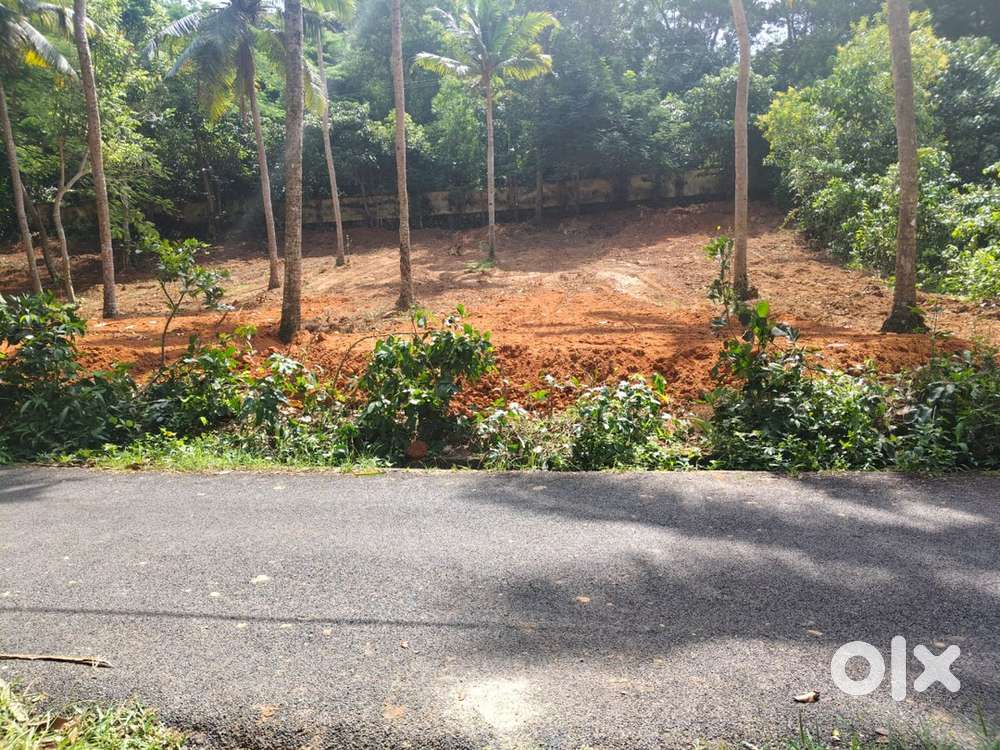 For Sale: 16 cents prime plot of land in Pallipuram