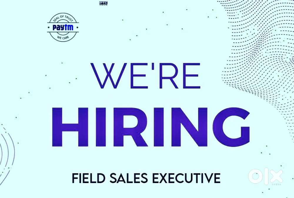 Sales Executive