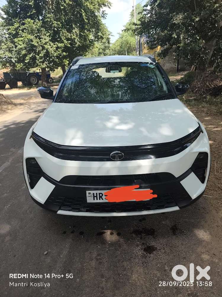 Tata Nexon 2024 CNG & Hybrids 12000 Km Driven