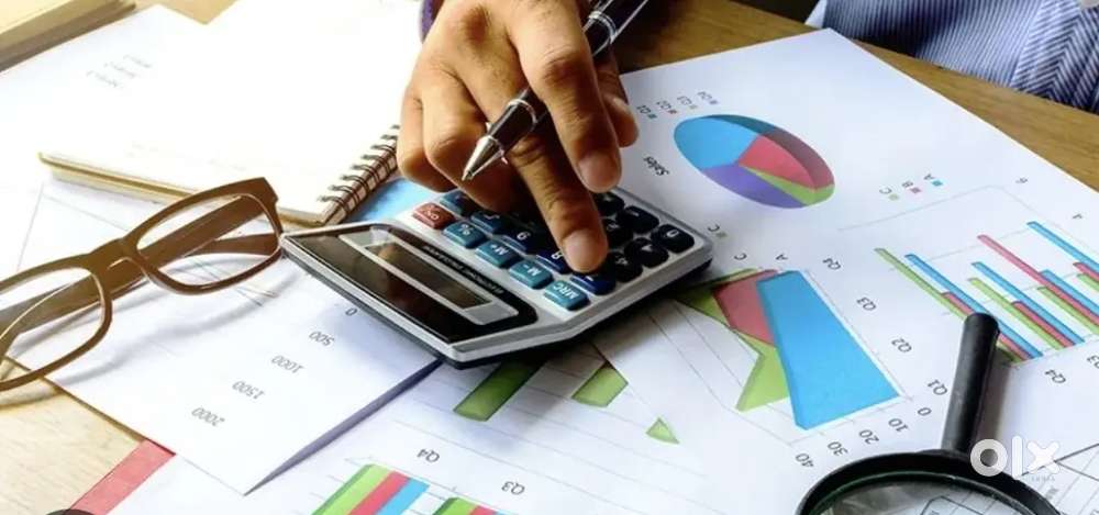 Auditor office - urgent hiring