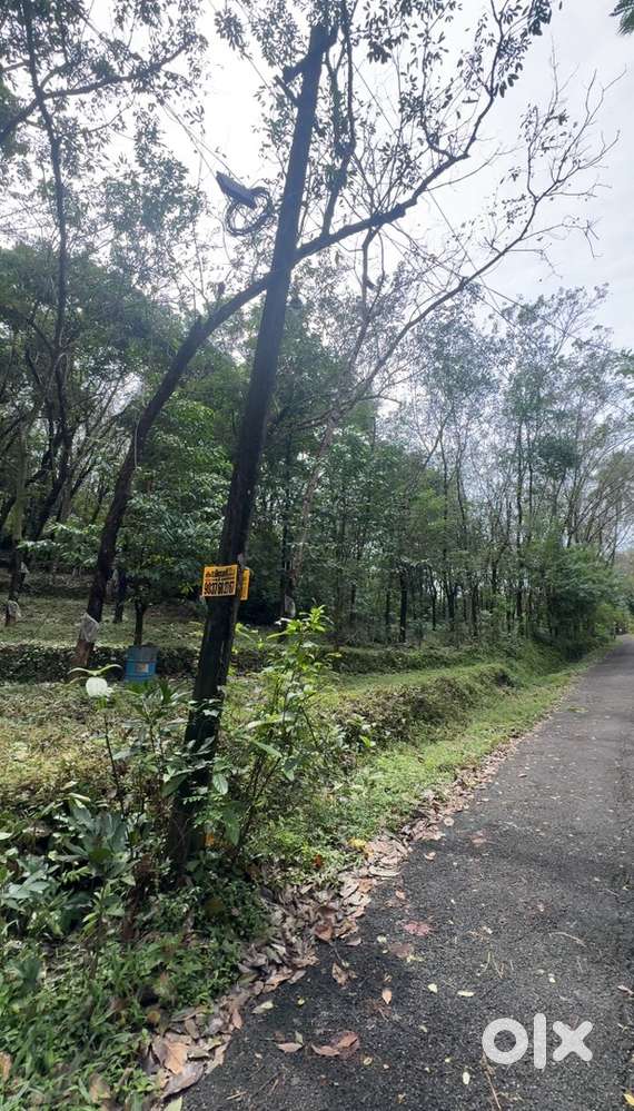 ₹48000 per cent in a developing region