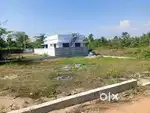 Ernakulam district thathappilly 8.5cent for sale