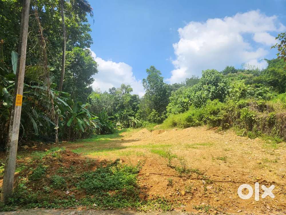 40 cents plain plot for sale near science city