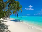 PALOLEM BEACH FACING PROPERTY ON RENT AVAILABLE