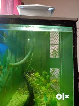 Aquarium with filter