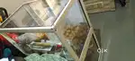 Bhel center counter