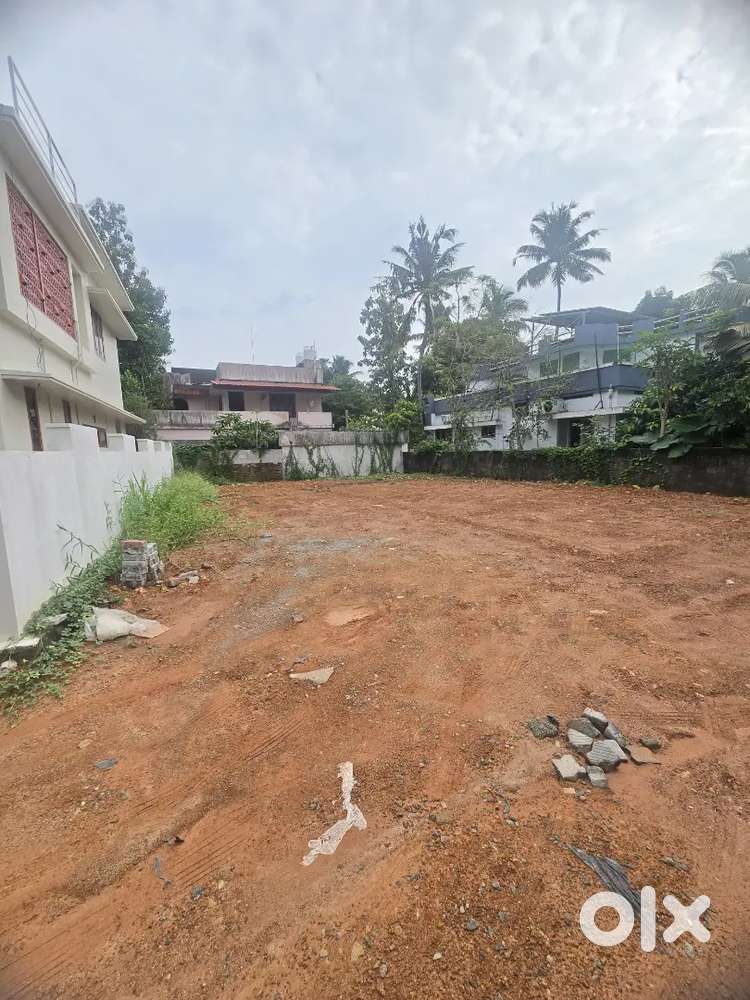 7.750CENT HOUSE PLOT AMBALAMUKKU VAYALIKADA JN 10MTR MAIN ROAD