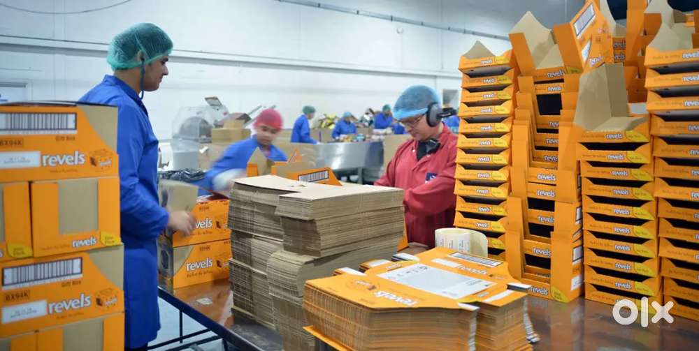 FACTORY में पैकिंग लड़के लड़कियों की आवश्यकता है