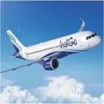 Indigo Airlines is Hiring officer/Executive,security &Customer service