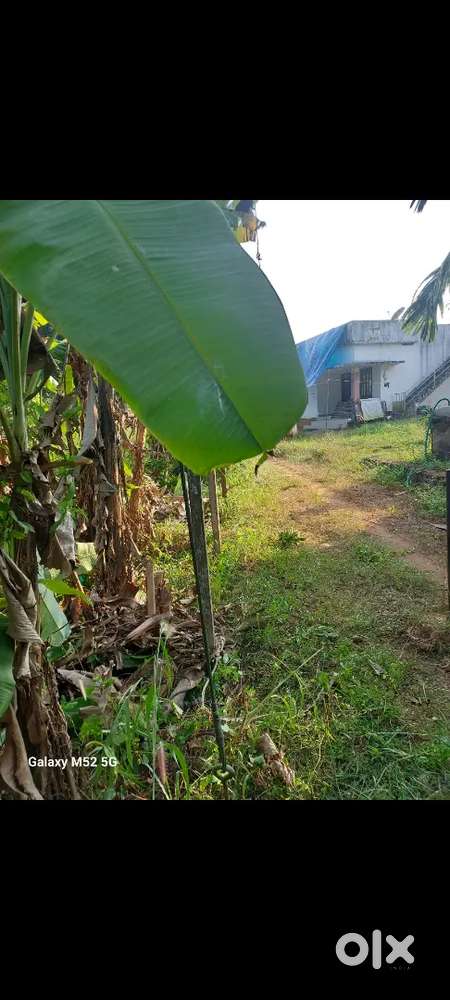 പുത്തൂർ 5 cent സ്ഥലം വില്പനയ്ക്ക്.